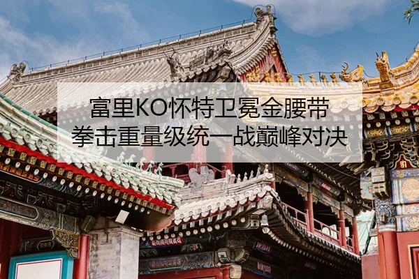 fu-li-huai-te-wei-mian-jin-yao-dai-quan-ji-zhong-liang-ji-tong-yi-zhan-dian-feng-dui-jue-2-709.jpg
