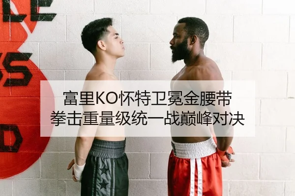 富里KO怀特卫冕金腰带 拳击重量级统一战巅峰对决