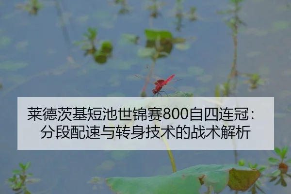 lai-de-ci-ji-duan-chi-shi-jin-sai-zi-si-lian-guan-fen-duan-pei-su-yu-zhuan-shen-ji-shu-de-zhan-shu-jie-xi-2-630.jpg